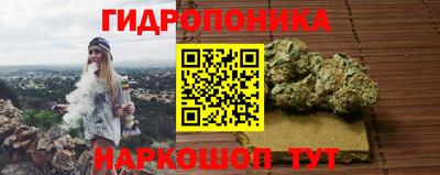 тгк Партизанск