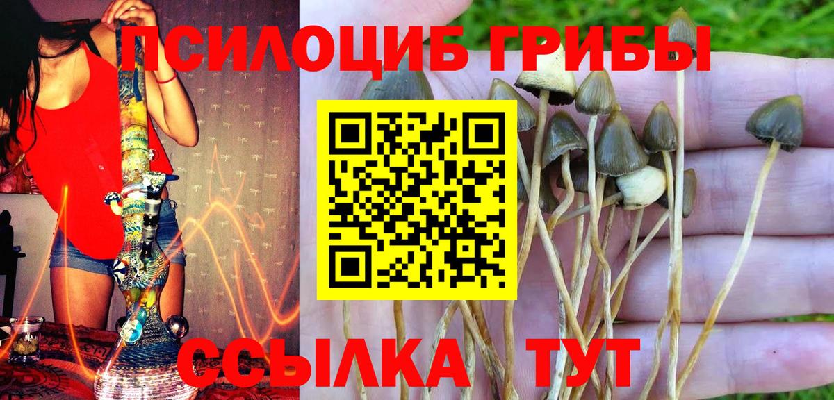 Серпухов  Галлюциногенные грибы Psilocybe  Галлюциногенные грибы мухоморы  Вход с VPN 
