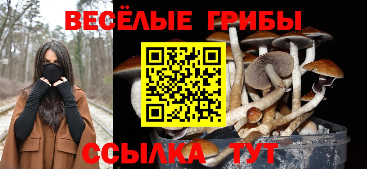 Галлюциногенные грибы ЛСД Серпухов